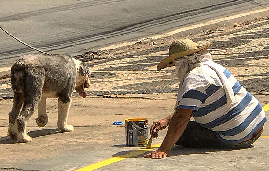 A expansão do mercado voltado para animais de estimação | Foto: AK A expansão do mercado voltado para animais de estimação | Foto: AK