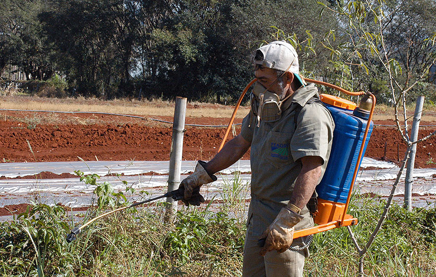 Agricultor aplica pesticida em lavoura na regiÃ£o de Campinas: muitos dos efeitos da âsopa quÃ­mica industrialâ, observa Luiz Marques, ainda sÃ£o desconhecidos | Foto: Antoninho Perri