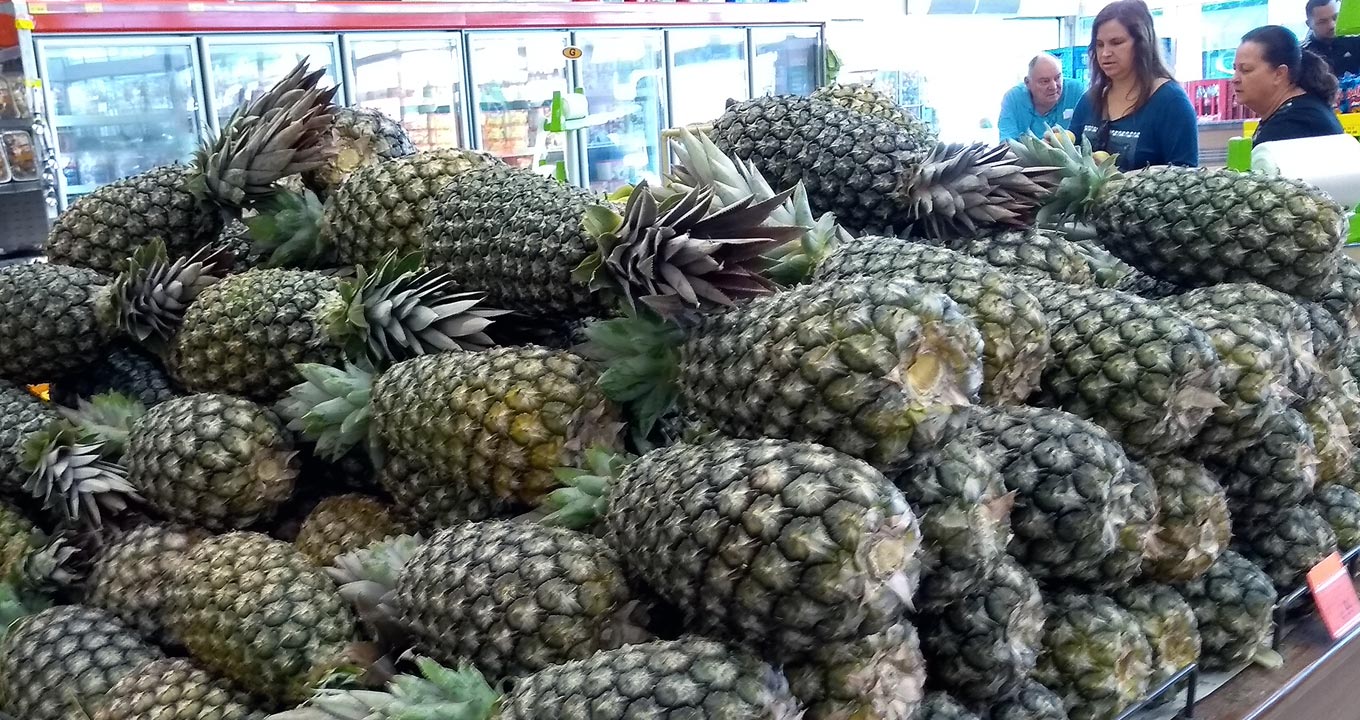 Foto: Antoninho Perri Audiodescrição: Dentro de um supermercado, no setor de frutas, imagem em primeiro plano, ocupando toda a largura da foto, cerca de vinte abacaxis agrupados aleatoriamente na horizontal sobre um amplo balcão. À direita na Imagem, ao fundo, há quatro pessoas em pé observando outras mercadorias, sendo que ao fundo, à frente de uma extensa parede, cerca de sete geladeiras com portas de vidro transparente dispostas uma ao lado da outra. Imagem 1 de 1.