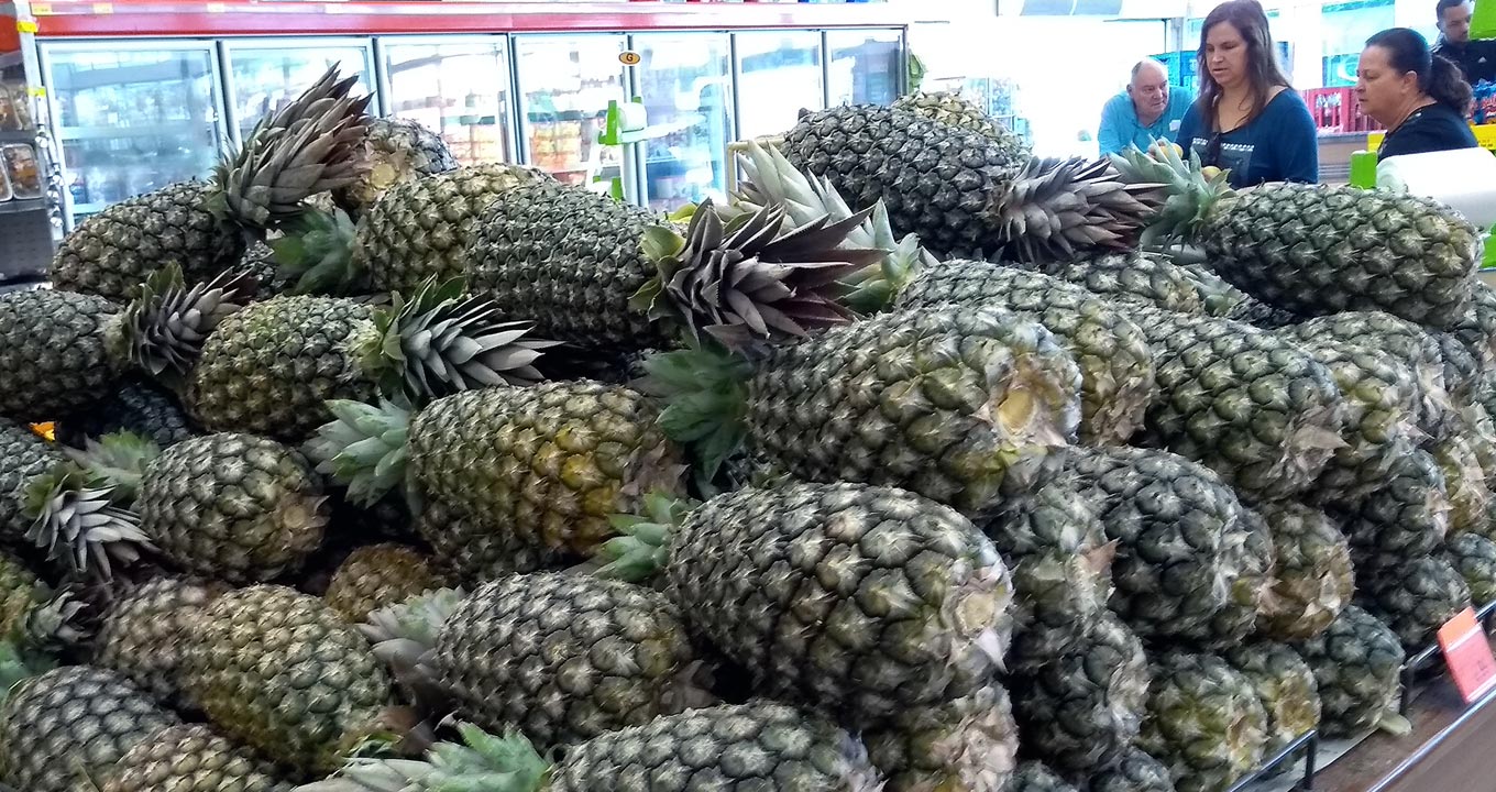 Audiodescrição: Dentro de um supermercado, no setor de frutas, imagem em primeiro plano, ocupando toda a largura da foto, cerca de vinte abacaxis agrupados aleatoriamente na horizontal sobre um amplo balcão. À direita na Imagem, ao fundo, há quatro pessoas em pé observando outras mercadorias, sendo que ao fundo, à frente de uma extensa parede, cerca de sete geladeiras com portas de vidro transparente dispostas uma ao lado da outra. Imagem 1 de 1.