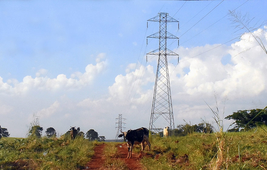 Torres de transmissão na região de Campinas | Foto: Antoninho Perri