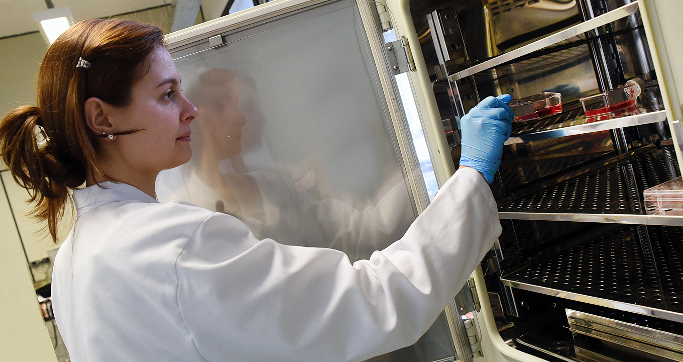 A farmacêutica Paula Martins, autora do trabalho: “A próxima etapa corresponderá aos testes de escalonamento, para saber se conseguiremos produzir a vacina em escala industrial” | Foto: Antoninho Perri Audiodescrição: Em área interna, imagem em perfil e de busto, mulher em pé, ao centro na imagem, e com olhar voltado para a direita, mantém o braço direito projetado para frente, segurando com a mão um tipo de recipiente cilíndrico de vidro contendo líquido vermelho. Ela deposita esse recipiente em uma prateleira metálica de um equipamento semelhante a um freezer, que está com a porta aberta e reflete a imagem da mulher. Ela usa jaleco branco de mangas compridas e luvas azuis. Imagem 1 de 1.