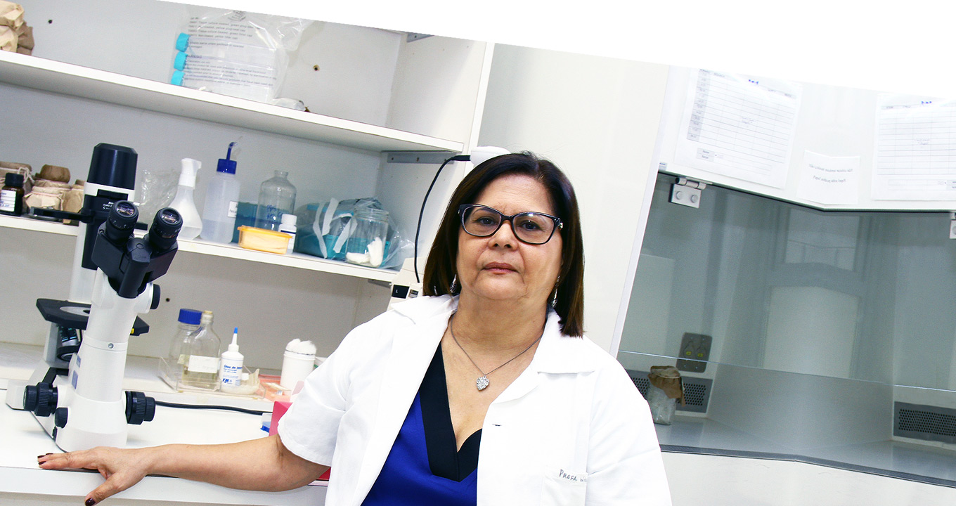 A professora Wirla Maria da Silva Cunha Tamashiro, coordenadora das pesquisas | Foto: Divulgação Audiodescrição: Em laboratório, imagem frontal e de busto, mulher, ao centro e com olhar voltado para a câmara fotográfica, mantém o braço direito apoiado sobre uma extensa bancada de madeira, branca, que passa às costas dela, enquanto o braço esquerdo permanece baixado. À esquerda na imagem, sobre a bancada, há um moderno microscópio e duas prateleiras de madeira ocupadas por objetos como frascos plásticos e potes com algodão. À direita há uma porta de vidro. Ela usa óculos e jaleco branco. Imagem 1 de 1.