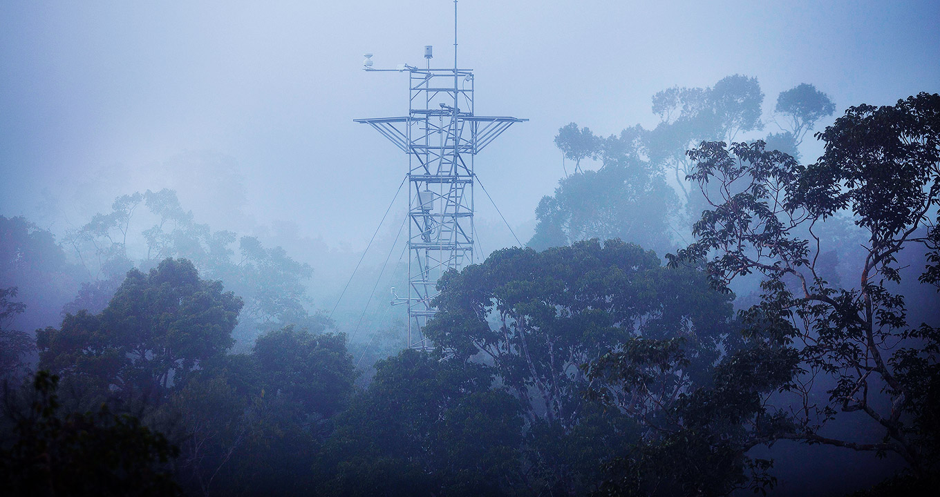 Audiodescrição: Imagem de área externa e panorâmica, de uma floresta, onde aparecem as copas de várias árvores altas encobertas por neblina ou fumaça. Ao centro da imagem, um tipo de torre com antenas, formada por estruturas metálicas tubulares dispostas de modo a formar um quadrado que se eleva. Há escadas interligando os cerca de seis pisos que compõem a estrutura. A imagem é bastante escura e azulada. Imagem 1 de 1.