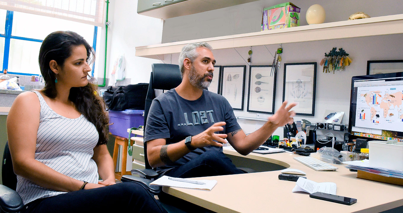 Felipe Toledo, professor do Instituto de Biologia, e a doutoranda Tamilie Carvalho | Foto: Antoninho Perri Audiodescrição: em sala de trabalho, imagem de busto e em perspectiva, mulher, à esquerda, e homem sentados em cadeiras, um ao lado do outro, com olhar voltado à direita, sendo que ela mantém os braços baixados, enquanto ele fala e gesticula com os braços, mantendo-os projetados para frente e as mãos abertas. À direita na imagem há uma bancada de madeira, onde há um monitor de lcd e outros objetos. A bancada está encostada em uma parede onde há quatro gravuras em preto e branco emolduradas. Imagem 1 de 1.