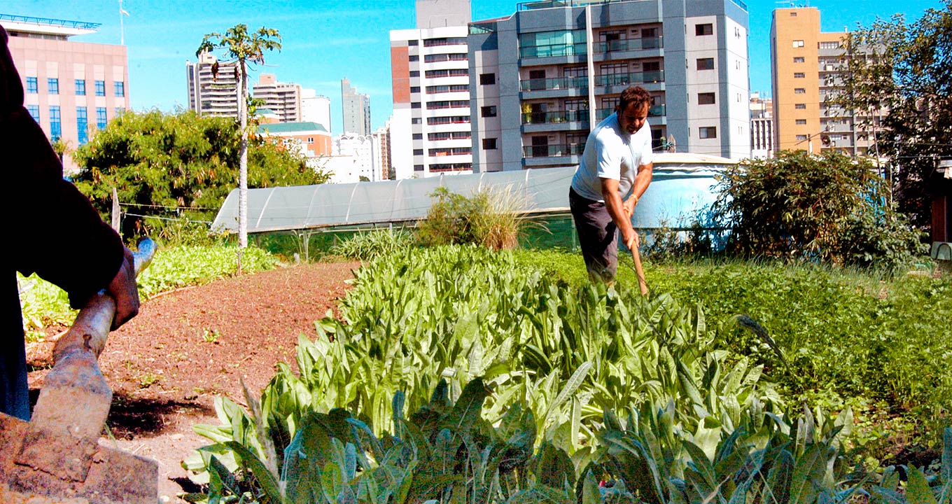 Audiodescrição: Em área externa, imagem frontal e de corpo inteiro, homem, ao centro da imagem, capina horta de produtos orgânicos que está ao seu redor, sendo que o local é em área urbana, uma vez que ao fundo de toda a imagem aparecem partes de vários prédios. Às costas dele, o teto de uma estufa. À esquerda na imagem, aparece parte do braço direito e do tronco de um homem que carrega uma enxada, e que usa camisa de mangas compridas preta. O dia está bastante ensolarado. Imagem 1 de 1.