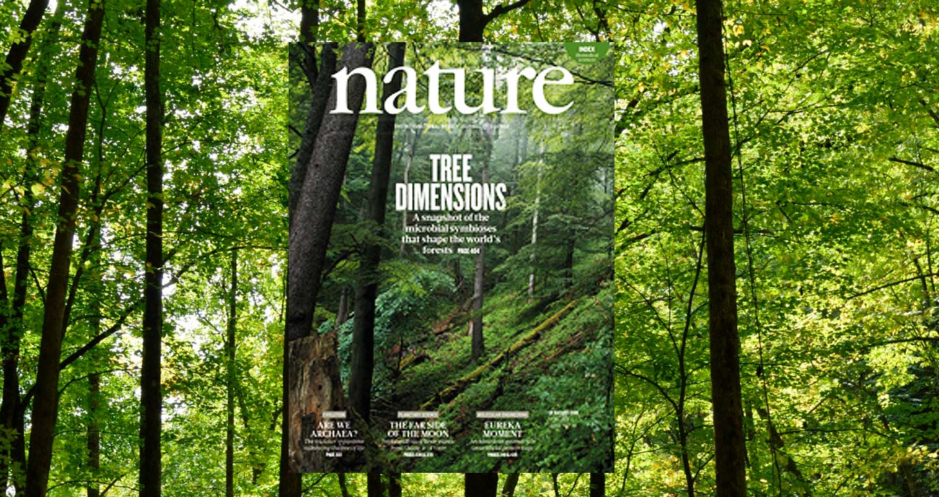 Reprodução | CC Public Domain Audiodescrição: montagem com duas fotos, sendo que a primeira ocupa todo o fundo da imagem e traz área de floresta, com vários troncos de árvores e com sua densa folhagem verde. A segunda traz a capa de uma revista, ao centro, onde se lê o nome da revista, Nature, e o título em inglês, Tree Dimensions, em letras brancas. A capa tem imagem semelhante àquela apresentada ao fundo, com tronco de árvores de grande porte e também uma densa folhagem verde. Imagem 1 de 1.
