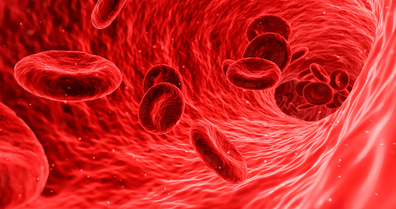 Estudo brasileiro sugere que pessoas com baixo nível da enzima PDIA1 no plasma sanguíneo podem ter maior propensão a trombose. Grupo também investigou o papel da molécula no câncer colorretal | Imagem: pixabay Estudo brasileiro sugere que pessoas com baixo nível da enzima PDIA1 no plasma sanguíneo podem ter maior propensão a trombose. Grupo também investigou o papel da molécula no câncer colorretal | Imagem: pixabay
