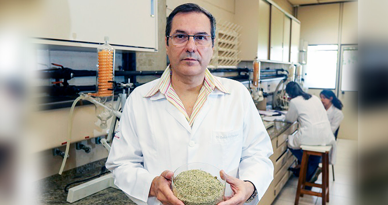 O professor Rodney Ferreira Rodrigues, responsável pela tecnologia | Foto: Pedro Amatuzzi Audiodescrição: em laboratório, imagem frontal e plano médio, homem em pé, ao centro, com olhar para as lentes da câmera fotográfica. Ele segura com as duas mãos, à frente dele, na altura da barriga, um recipiente cilíndrico de acrílico ou vidro transparente de cerca de vinte centímetros de diâmetro e com farelo esverdeado. Ele usa óculos e veste jaleco branco de mangas compridas. Às costas dele, em perspectiva, extensa bancada de granito onde há vários equipamentos e duas pessoas ao fundo. Imagem 1 de 1.