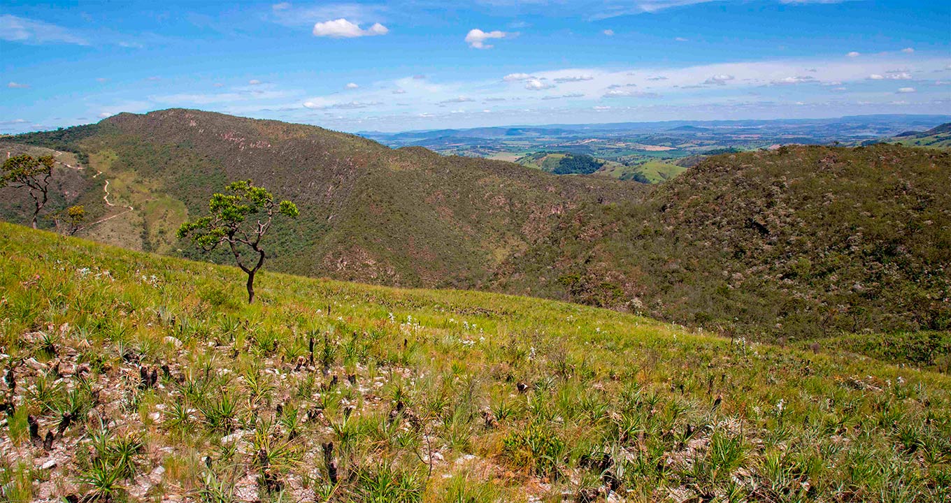 Campos Rupestres na Serra do Cipó, em Minas Gerais Audiodescrição: vista panorâmica do alto de uma montanha, onde aparece em primeiro plano sua encosta, com vegetação, ocupando horizontalmente a imagem, Ao fundo, um extenso e amplo vale. O céu está azul com algumas nuvens brancas. Imagem 1 de 1.