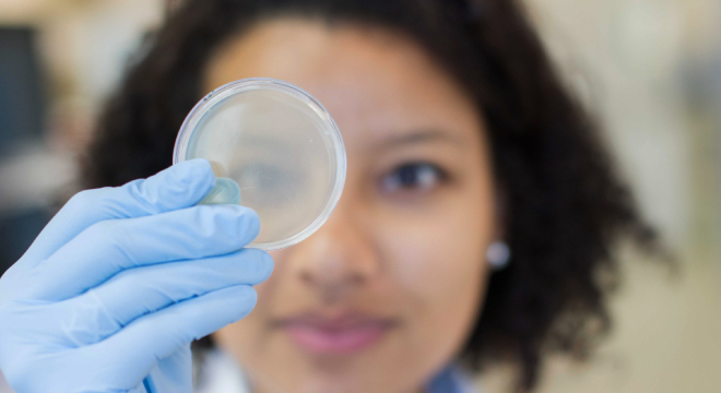 CQMED abre espaço para o desenvolvimento de parcerias em ciência aberta Audiodescrição: Técnica de Laboratório segura em suas mãos uma placa de petri