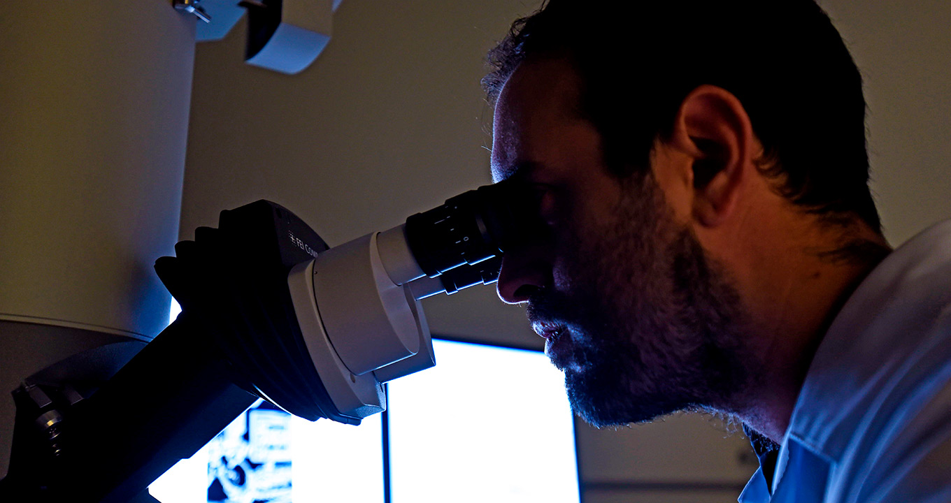 O pesquisador Mateus Vidigal de Castro ao microscópio eletrônico de transmissão| Foto: Antonio Scarpinetti Audiodescrição: em área interna, imagem close-up e em perfil, homem à direita na imagem e com olhar voltado para a esquerda da imagem, observa material através do visor de um moderno microscópio. O ambiente está bastante escuro. Imagem 1 de 1.