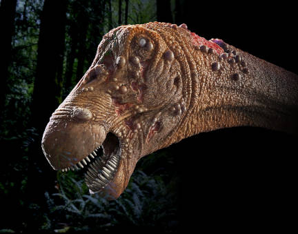 A análise de lâminas delgadas confeccionadas a partir do fragmento de um osso longo de um titanossauro estudado em microscópio permitiu que se identificasse a presença de microorganismos fossilizados cabeça de um titanossauro