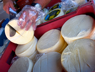 Estudo permite o aproveitamento de recursos da biodiversidade brasileira para manter características regionais, assegurar a manutenção do patrimônio cultural, social e econômico associado à produção de queijos artesanais