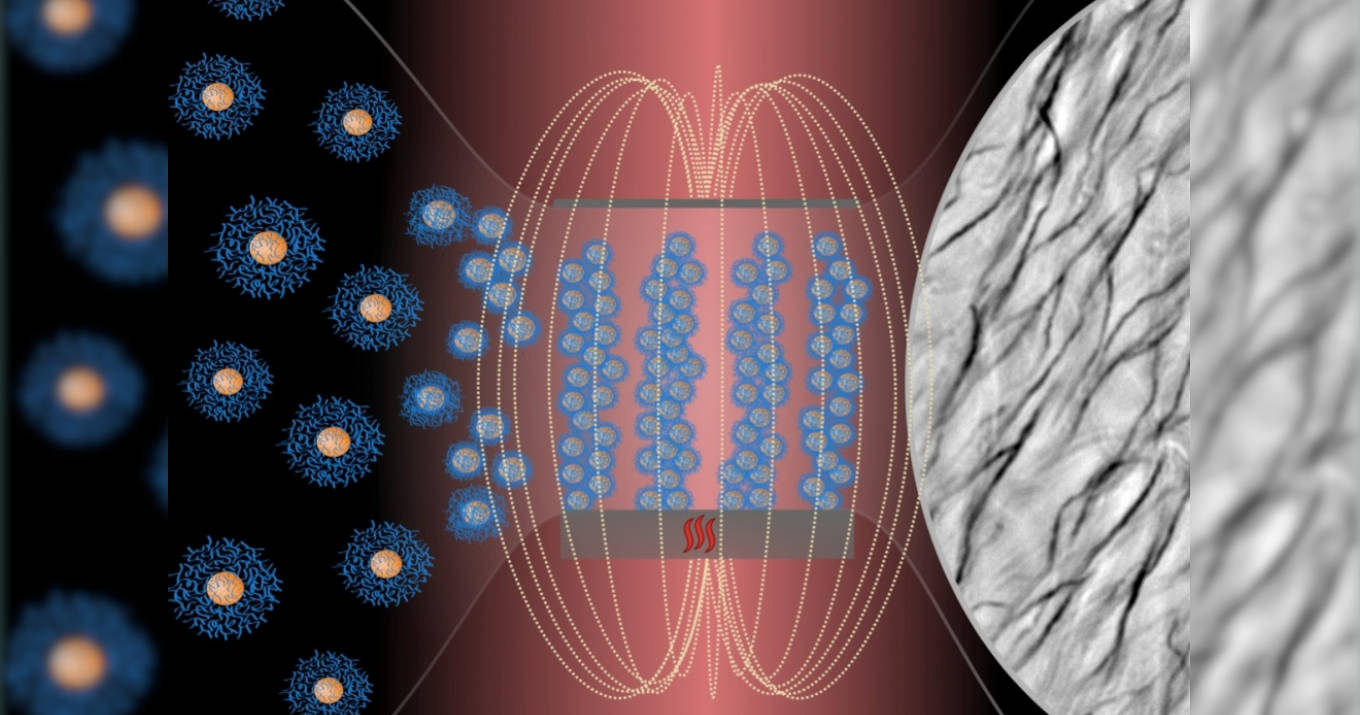 Filamentos de nanopartículas de ferro recobertas pelo polímero são obtidos pela exposição do material a um campo magnético sob temperatura controlada