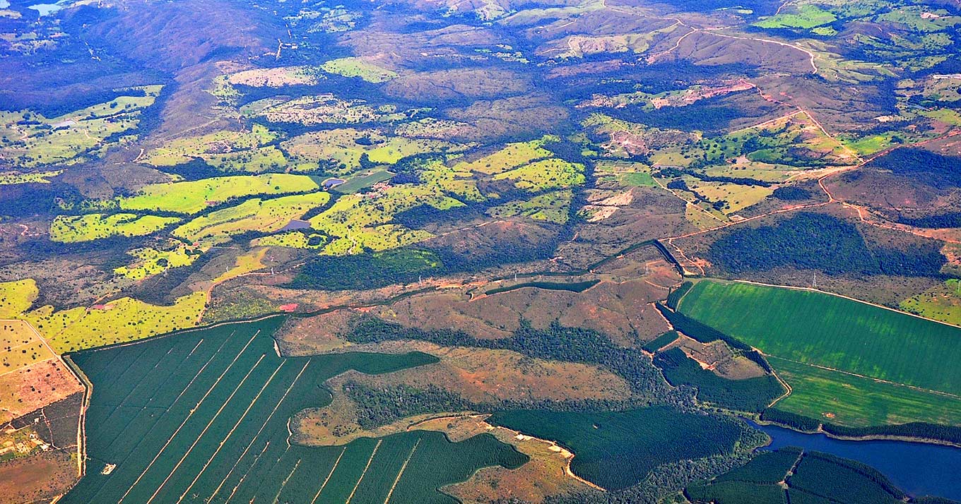 foto mostra vista aérea de grande área vegetal com diferenças de cores de acordo com o uso do local