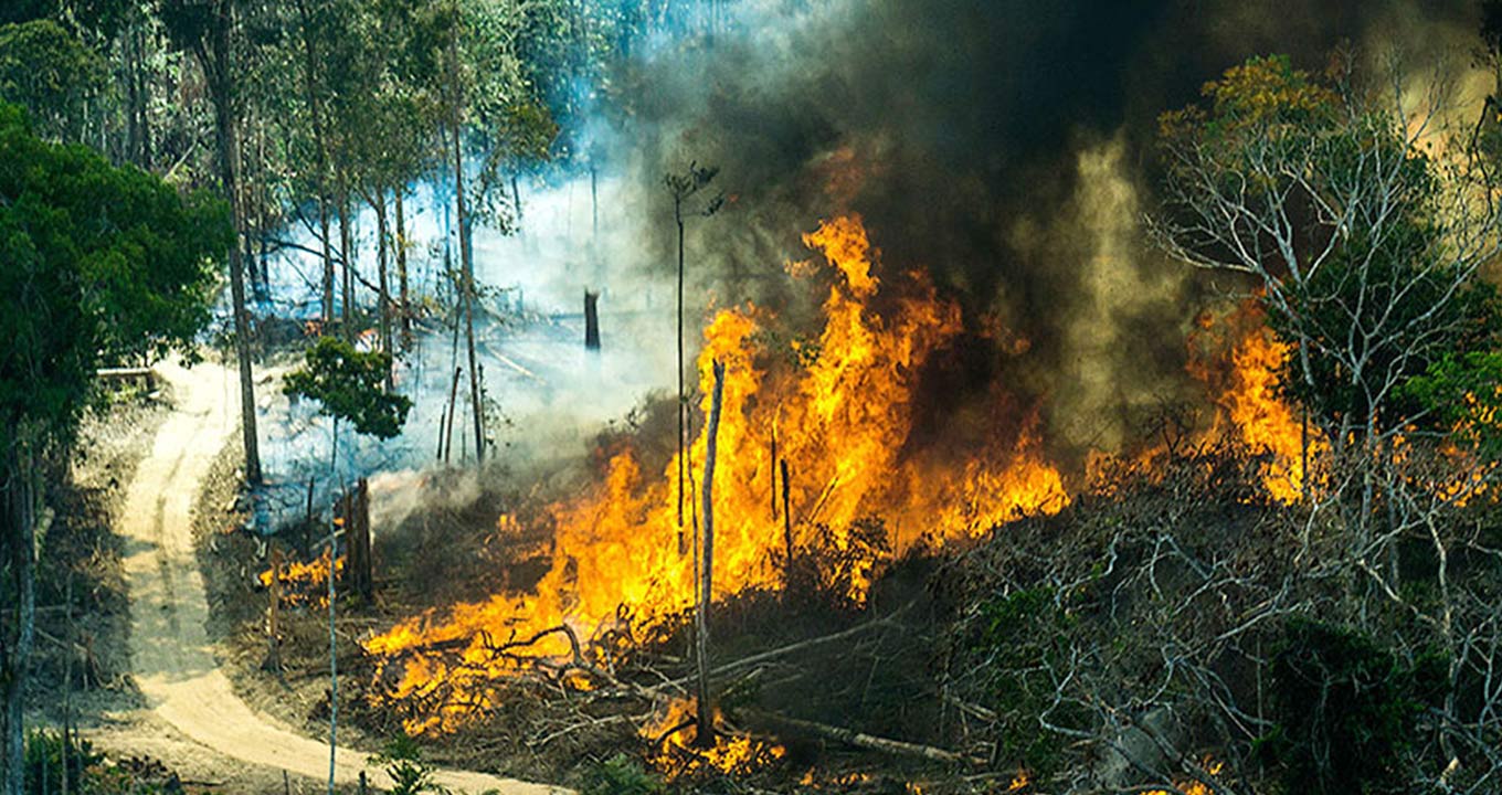 As análises confirmam que os incêndios estão relacionados com a intensidade dos períodos de seca (incêndio que atingiu Alter do Chão (Pará), em 2019) 