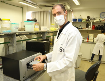A farinha de mandioca enriquecida contém três vezes mais ferro que outros alimentos vegetais. A tecnologia pode beneficiar pessoas em dietas deficientes ou sem carne A farinha de mandioca enriquecida contém três vezes mais ferro que outros alimentos vegetais. A tecnologia pode beneficiar pessoas em dietas deficientes ou sem carne