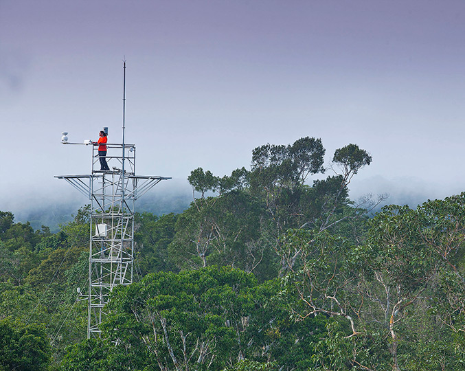 IG participa de experimento inédito com o objetivo de expor uma área da floresta amazônica a uma concentração de CO2 prevista para o futuro. Crédito: João M. Rosa