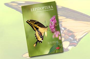 Capa de Lepidoptera: borboletas e mariposas do Brasil