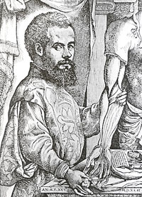 O único retrato autêntico de Andreas Vesalius de Bruxelas (...) é em sua ambientação, tonalidade e iluminação, dada a admirável habilidade do gravador, que ocupa um lugar de destaque entre as melhores figuras impressas em livros da época. (Dos Autores)