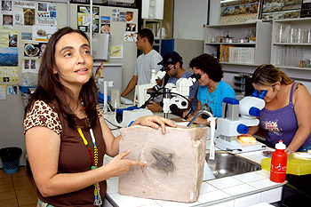A professora Fresia Soledade Ricardi Torres Branco, coordenadora do projeto, mostra exemplar de fóssil: acervo começou a ser estruturado em 1999 (Foto: Antoninho Perri)