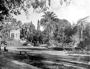 Jardim Botânico do Rio de Janeiro, em foto do início do século XX: local abrigava laboratórios e era ponto de encontro de naturalistas .