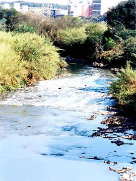 Trecho do rio Atibaia, principal fonte de abastecimento da região de Campinas: seis compostos de origem industrial na água 