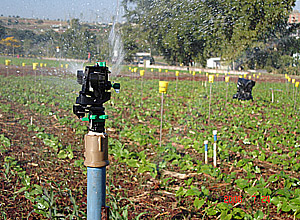 Sistema de irrigação convencional e pluviômetros utilizados para avaliação da uniformidade de distribuição de água, juntamente com tensiômetros usados para realização do controle da irrigação (Fotos: Divulgação/Antônio Scarpinetti) 