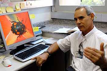 O professor Arício Linhares, do Departamento de Parasitologia do Instituto de Biologia: entomologia forense tem sido largamente empregada nos países desenvolvidos (Fotos: Antônio Scarpinetti)