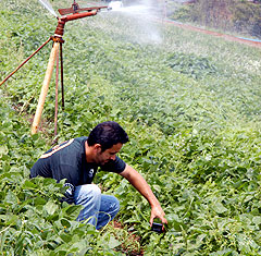 Entre as muitas especialidades, o engenheiro agrícola está habilitado a projetar e avaliar sistemas de irrigação e drenagem