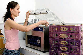 A engenheira Franciane Colares Souza, autora do estudo: simulações, em laboratório, de quatro variações de temperatura (Foto: Antoninho Perri)