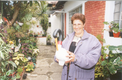 No jardim formado com plantas e enfeites encontrados no lixo: conscientização e cidadadina (Fotos: Antoninho Perri)