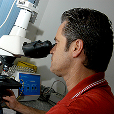 Jancarlo Ferreira Gomes ao microscópio: lâmina é acoplada ao equipamento (Fotos: Antoninho Perri/Divulgação)