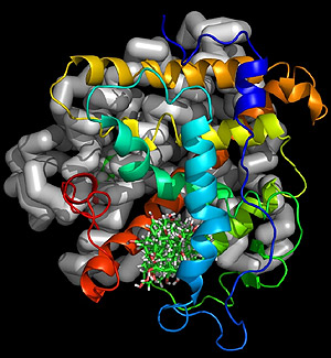 Figura mostra interação do estrógeno com proteína em formato de dímero 