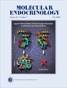 Capa da revista Molecular Endocrinology, uma das mais importantes do segmento, destaca o trabalho do grupo
