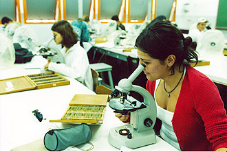 Alunas em laboratório do Instituto de Biologia: aumenta a participação feminina no número de bolsas de estudo (Foto: Antoninho Perri)