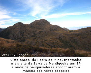 Vista parcial da Pedra da Mina, montanha mais alta da Serra da Mantiqueira em SP e onde os pesquisadores encontraram a maioria das novas espécies . (Foto: Divulgação)  