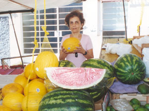 A pesquisadora Ana Lúcia Penteado, que defendeu tese de doutorado na Faculdade de Engenheiro de Alimentos: manipulação de frutas pode causar contaminação