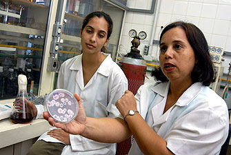 A professora Lúcia Regina Durrant (à direita): isolando e selecionando os microorganismos usados (Foto: Antonio Scarpinetti)