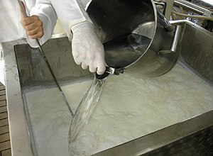 Processo de coagulação do leite (Foto: Divulgação)
