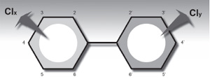 Estrutura das bifenilas policradas, numeradas as dez posições passíveis de substituição por cloro
