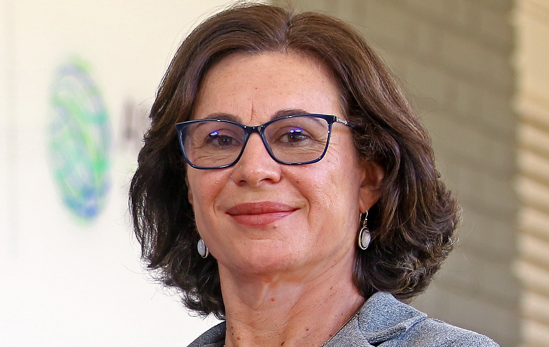 Professora Ana Frattini